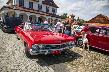 20.	Samochody, za nimi ludzie i budynki